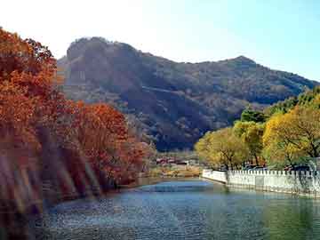 管家婆黑白马报图库，上海钢塑土工格栅